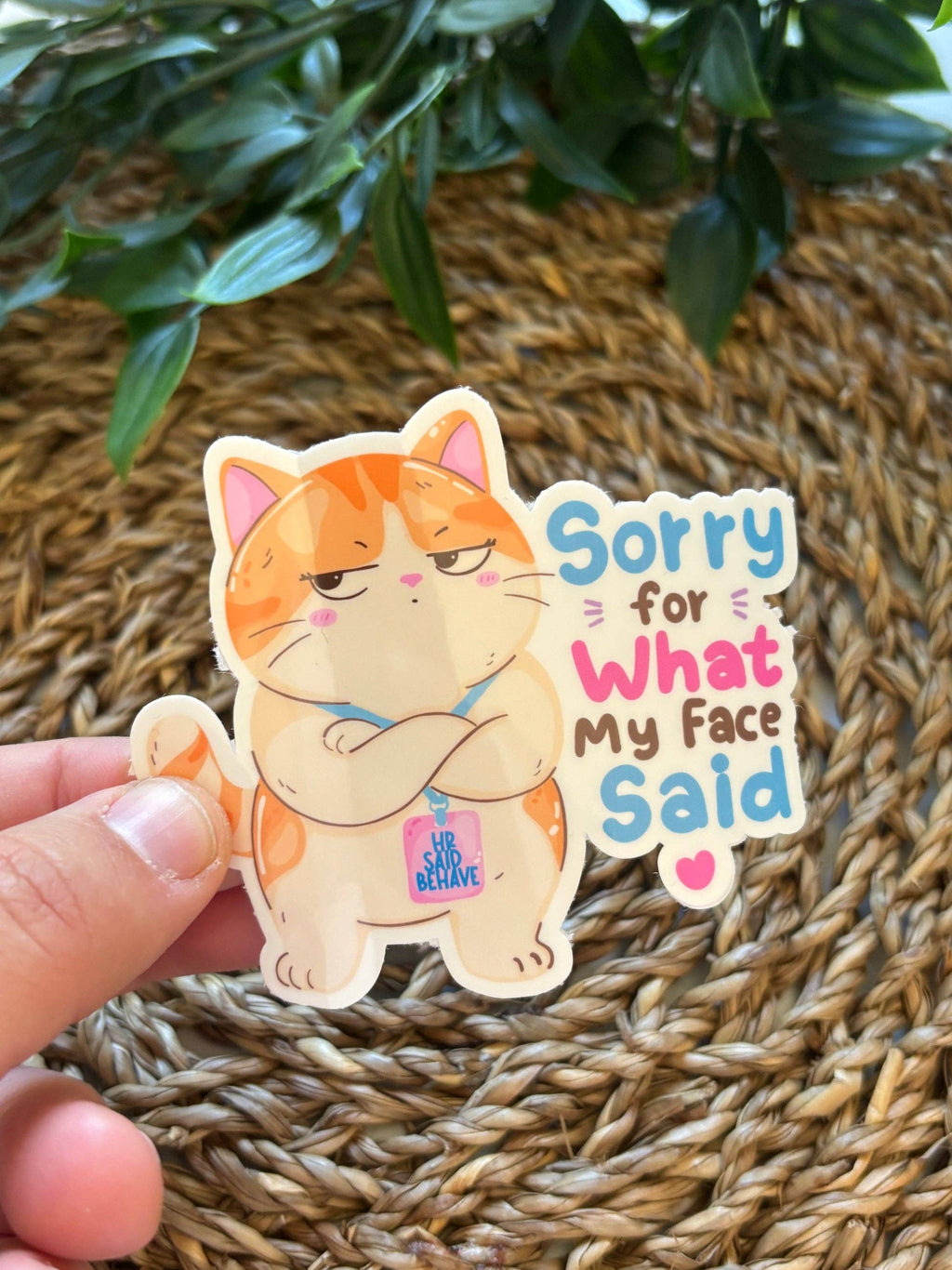 Sorry for what my face said | Vinyl klistremerke
