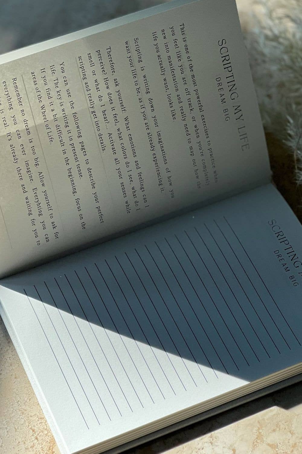 Manifesteringsjournal | The Life Barn