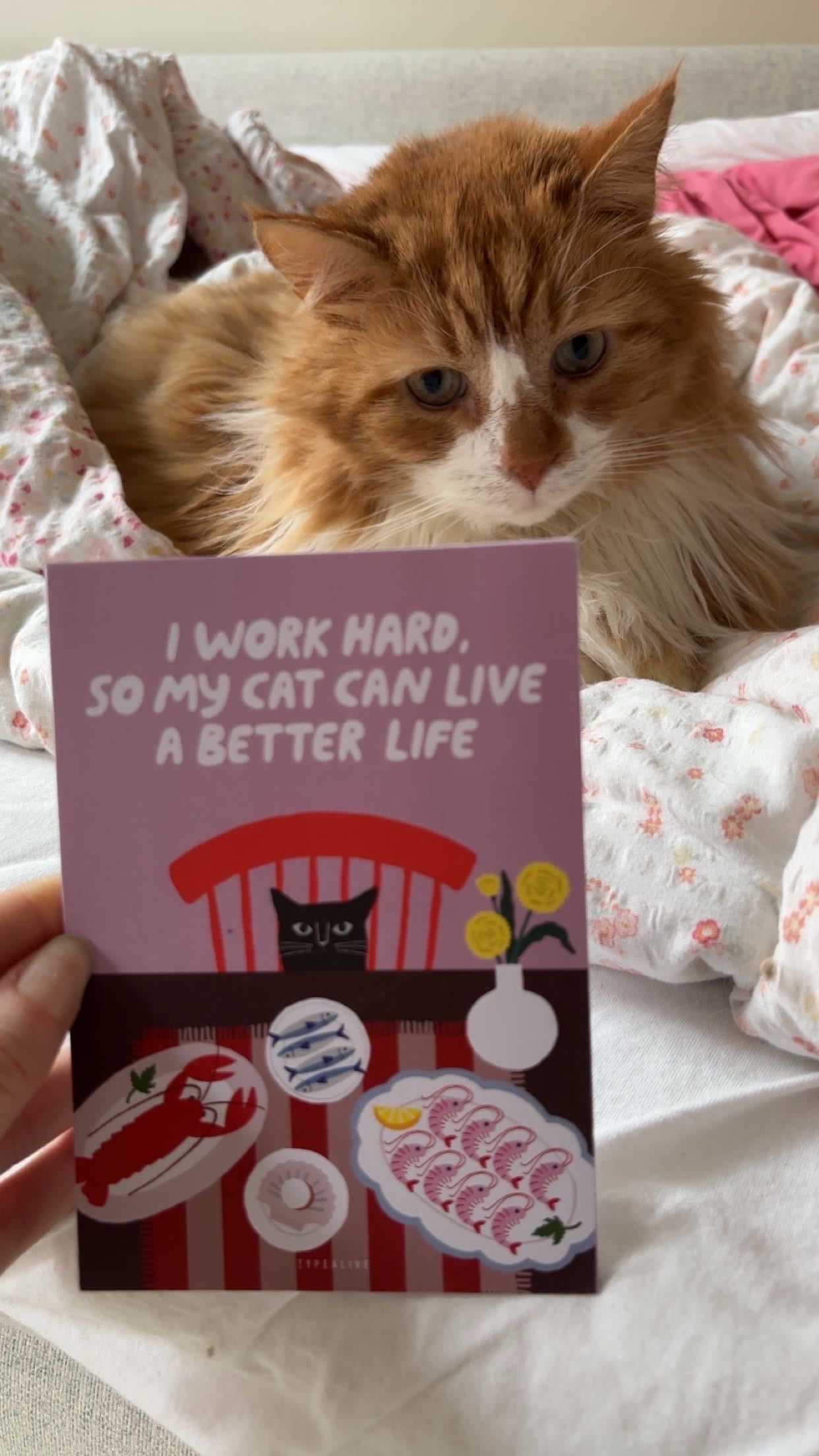 Kort "Cats Better Life No. 2"