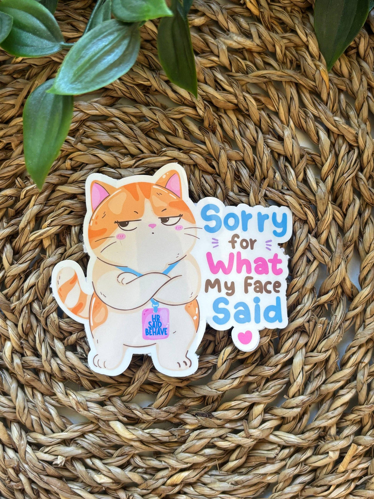 Sorry for what my face said | Vinyl klistremerke